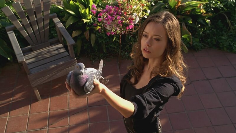 woman holding a pigeon