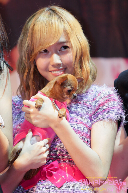 woman holding a small dog