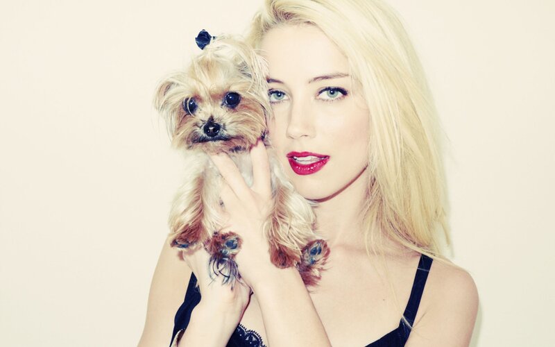 woman holding a small dog
