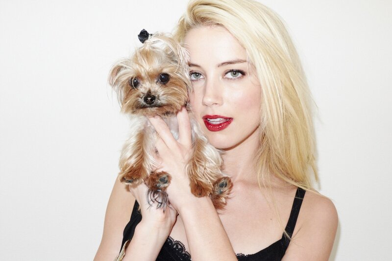 Woman holding a small dog