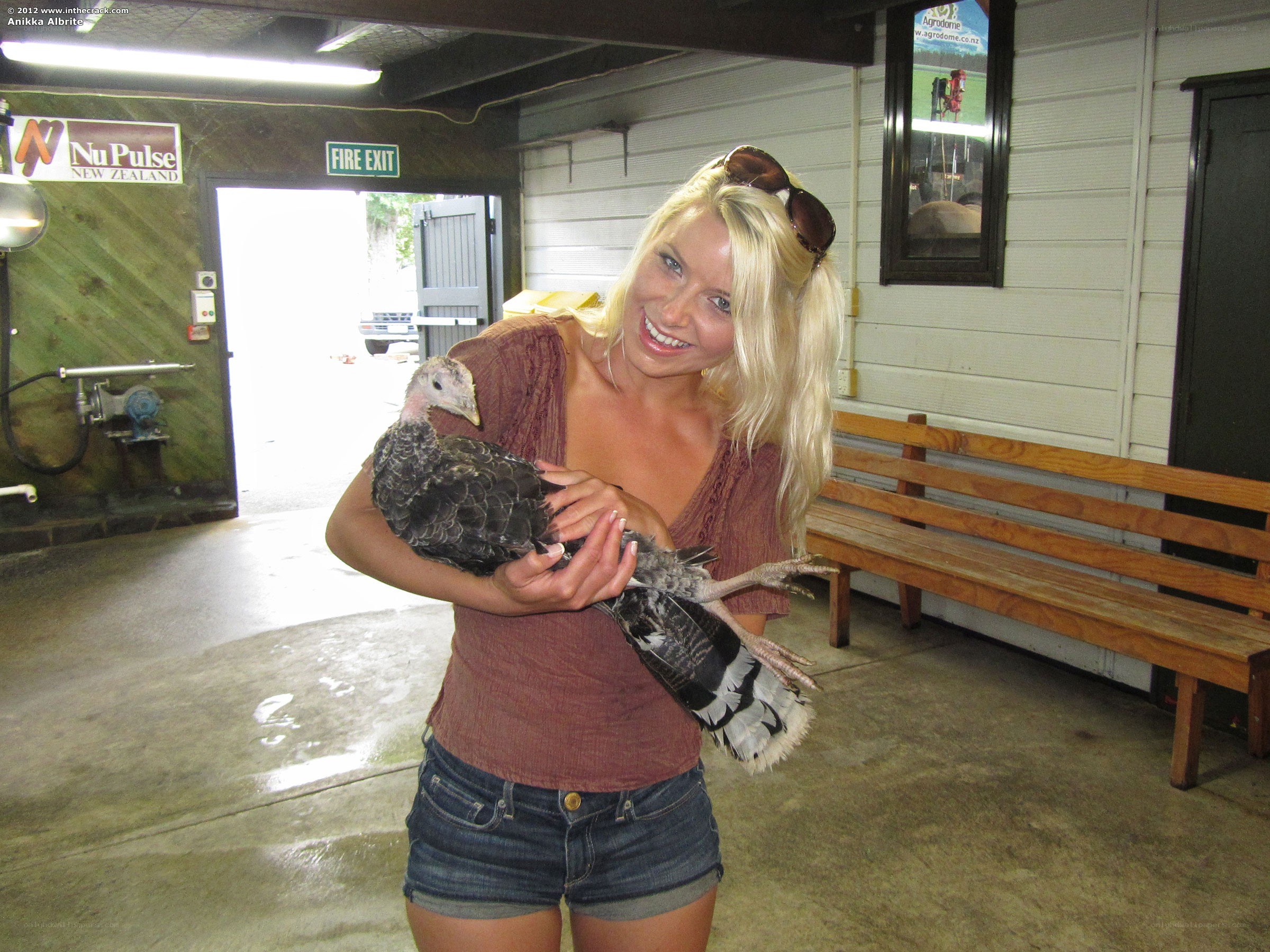 Woman holding a turkey