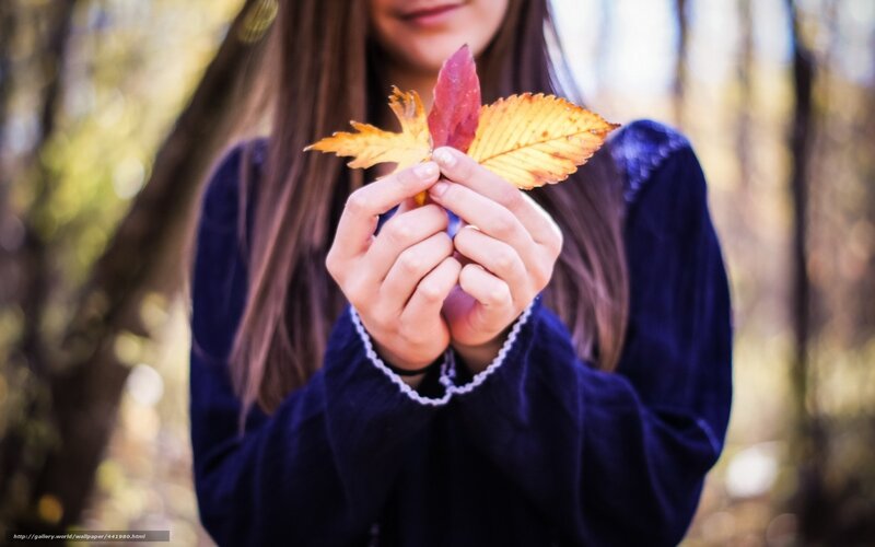 woman holding autumn leaves