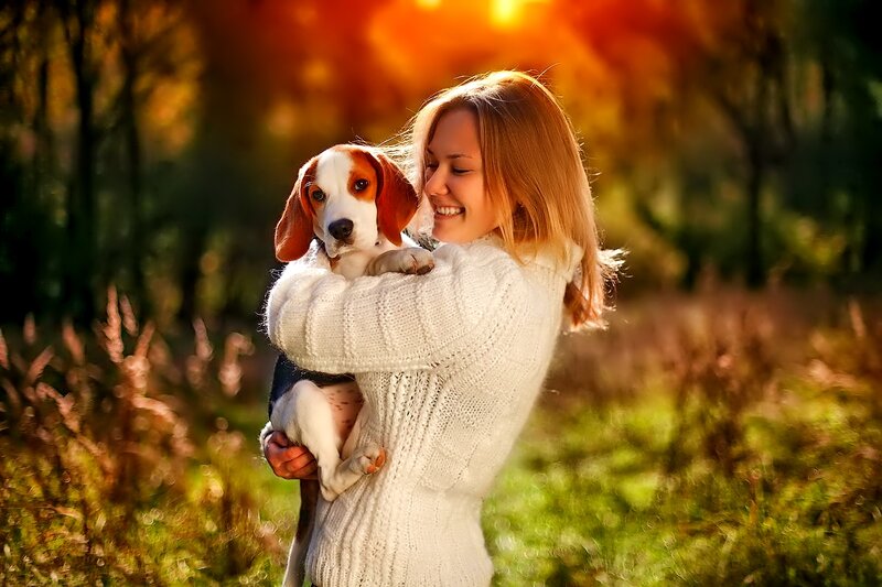 Woman Holding Beagle Puppy