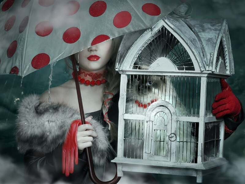 Woman Holding Birdcage — Gray, Dramatic, Digital Art