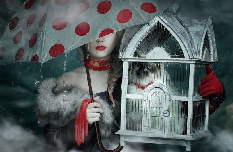 Woman Holding Birdcage — Gray, Dramatic, Night