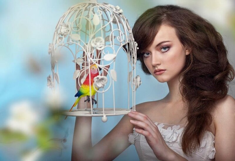 Woman Holding Birdcage — White, Serene, Photograph, Parrot