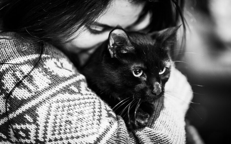 woman holding black cat