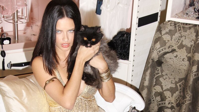 Woman Holding Black Cat — Calm