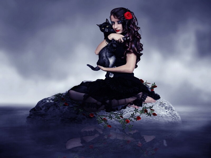 Woman Holding Black Cat — Dramatic, Night, Digital Art, Black Cat, Red Rose