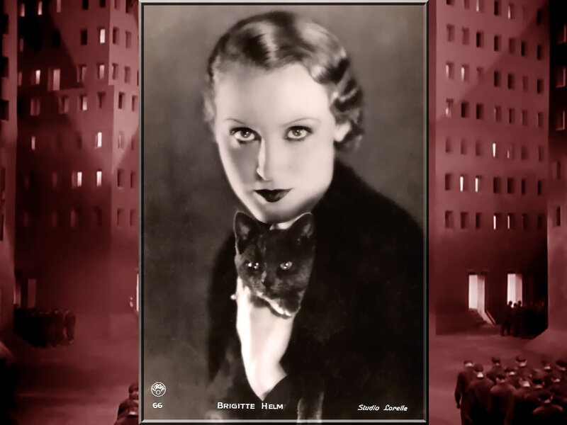 Woman Holding Black Cat — Dramatic, Night, Photograph