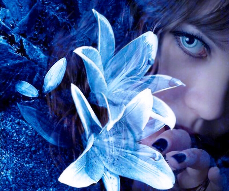 Woman Holding Blue Flower
