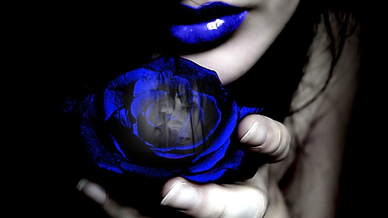 woman holding blue rose
