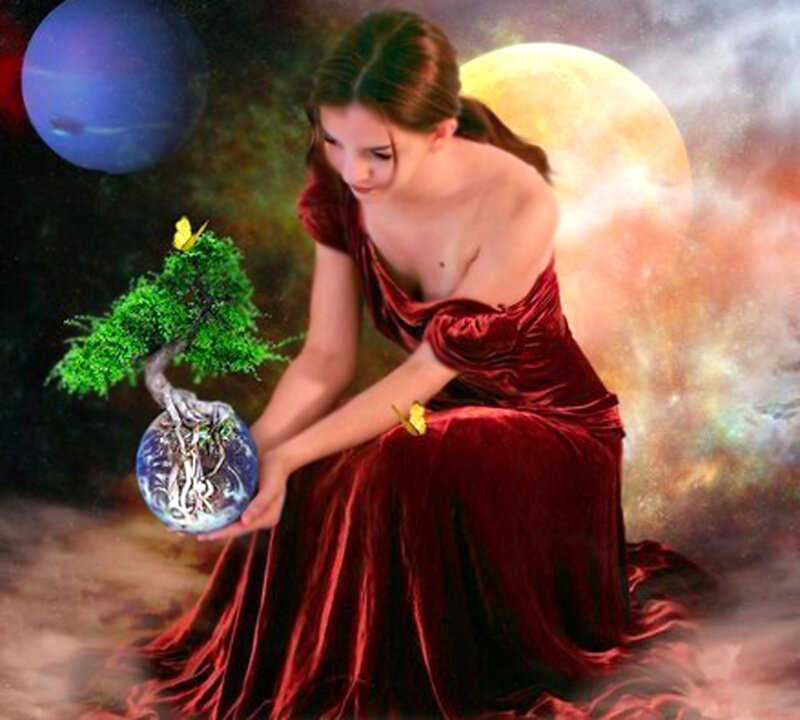 Woman Holding Bonsai Tree