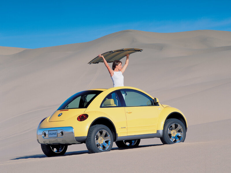 Woman Holding Car Roof