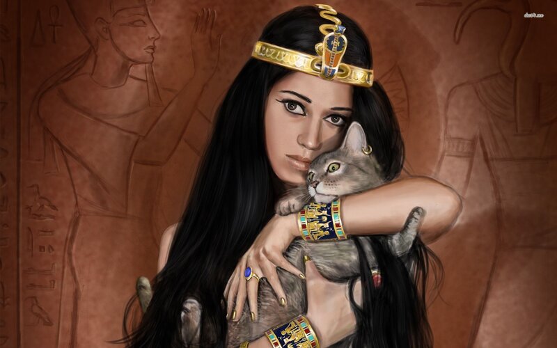 Woman Holding Cat — Brown, Serene