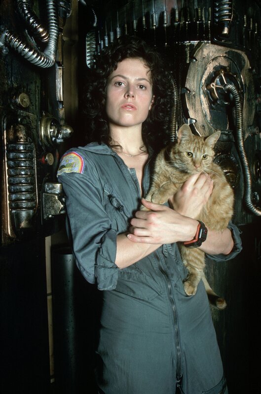 Woman holding cat in spaceship