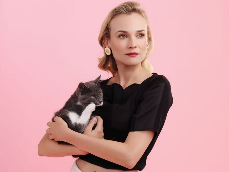 Woman Holding Cat — Pink, Calm