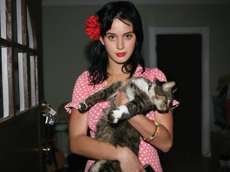 Woman Holding Cat — Pink