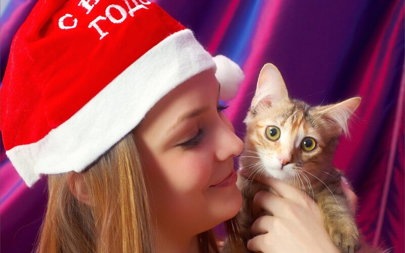 Woman Holding Cat — Red, Festive