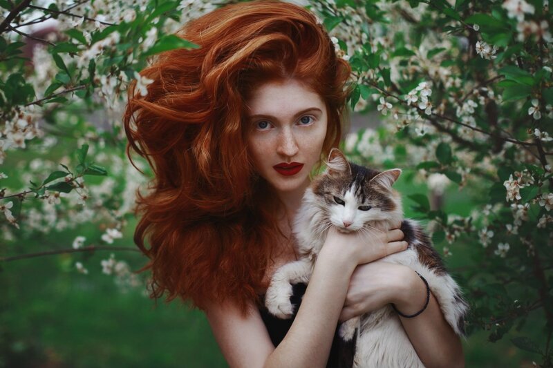 Woman Holding Cat — Red, Serene, Spring
