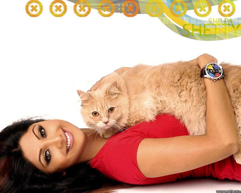 Woman Holding Cat — Red