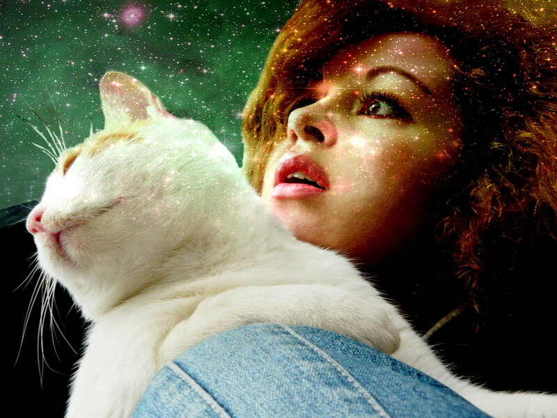 woman holding cat under stars