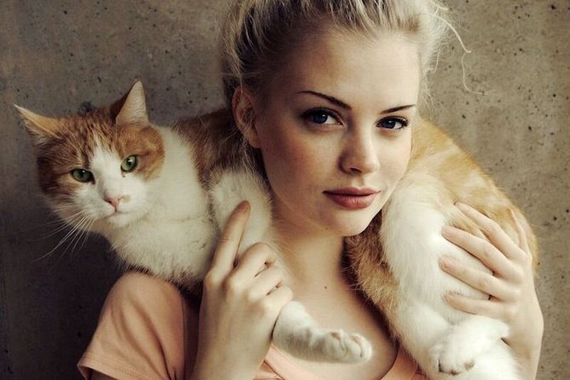 Woman Holding Cat — White, Calm