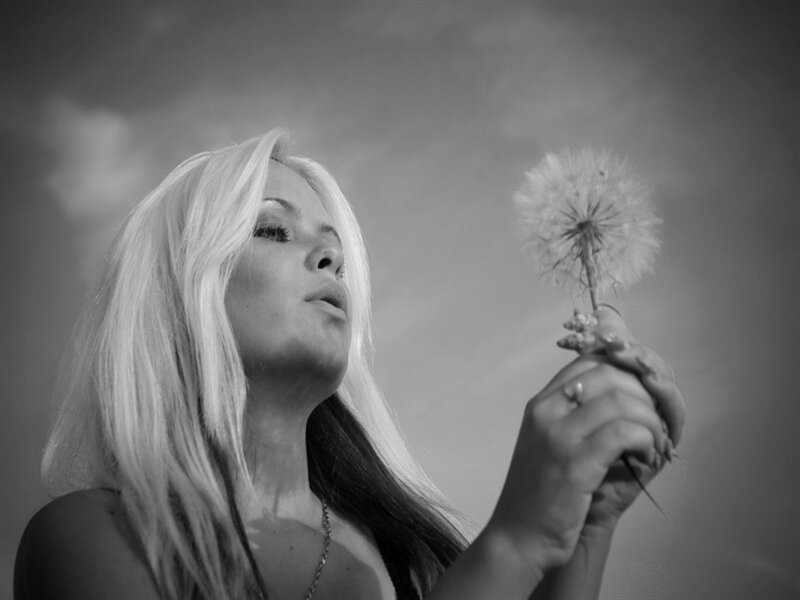 Woman Holding Dandelion — Black