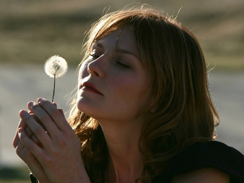 Woman Holding Dandelion — Brown