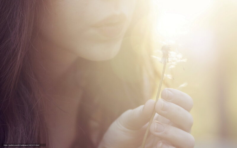 woman holding dandelion in sunlight