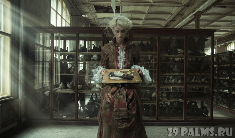 Woman Holding Dead Bird