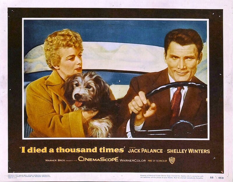 Woman Holding Dog in Car