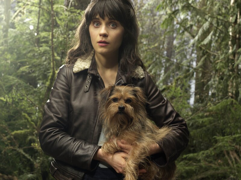 Woman holding dog in forest