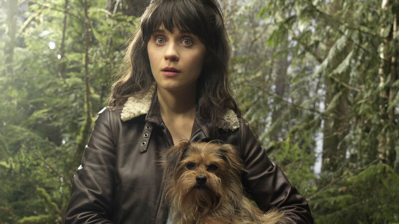 woman holding dog in forest