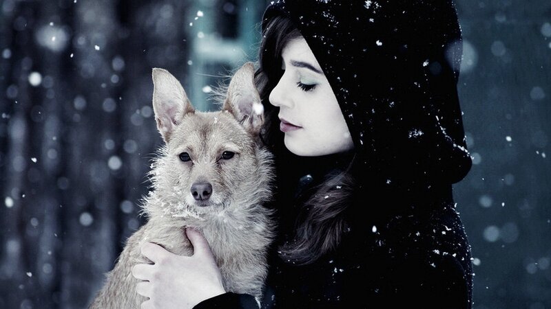 woman holding dog in snow