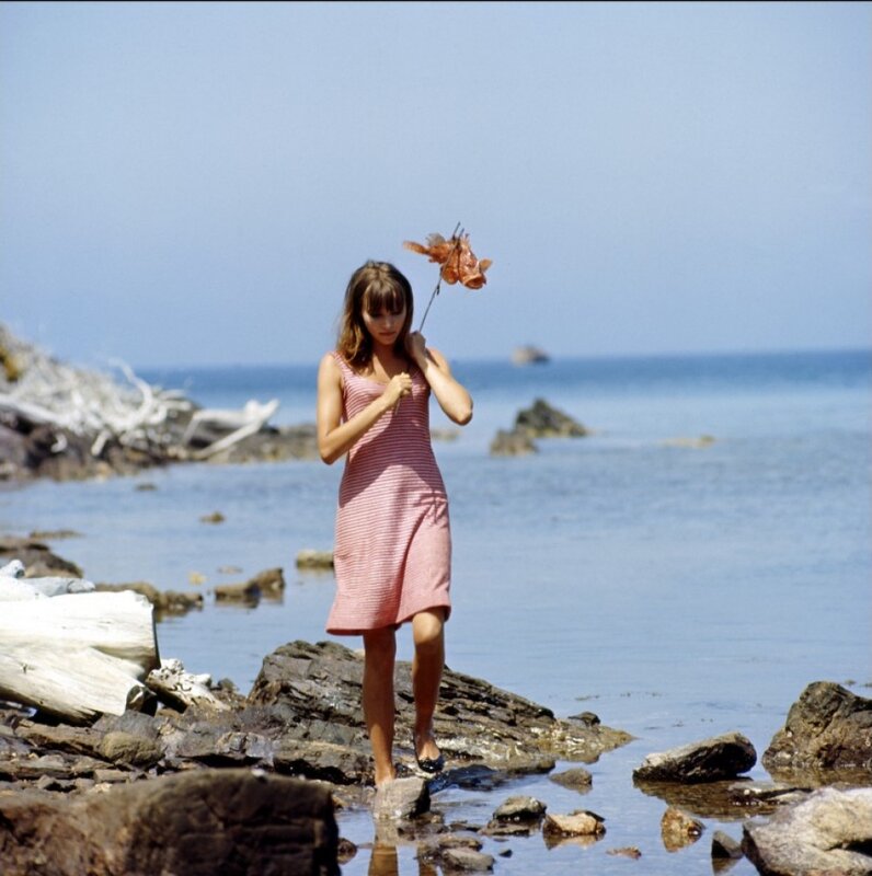 Woman holding fish on beach