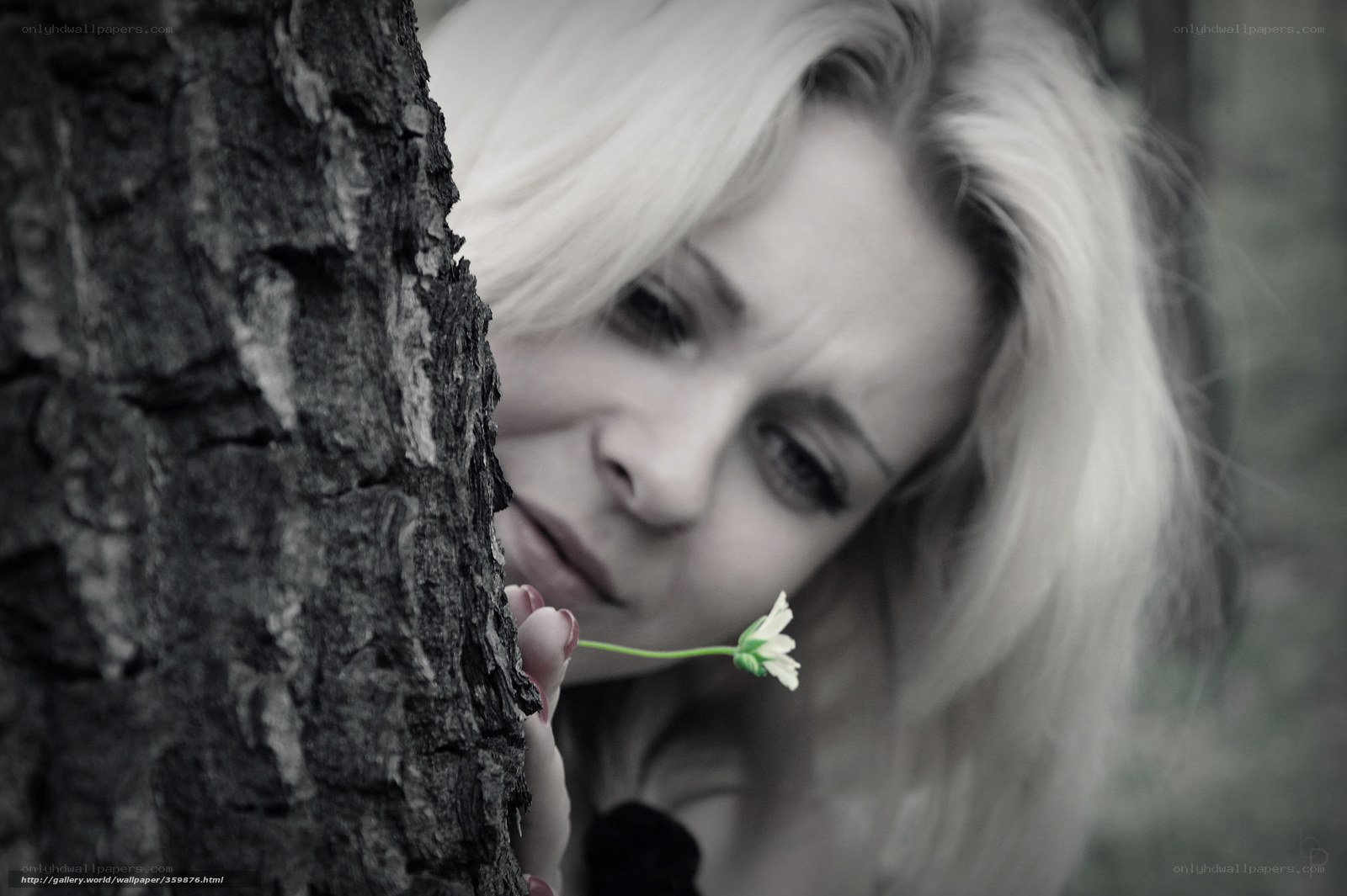 woman holding flower behind tree