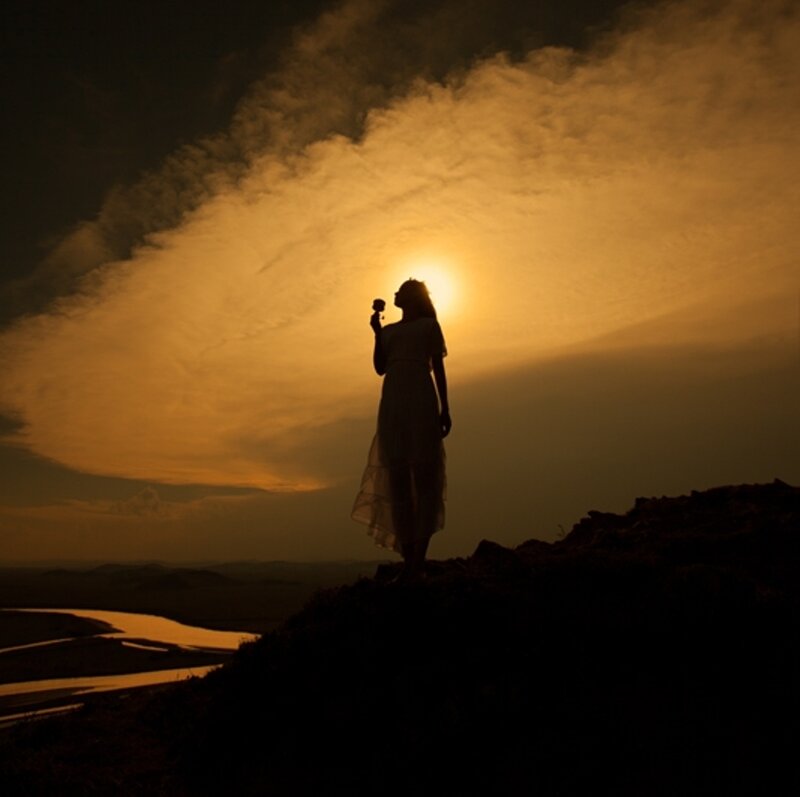 Woman Holding Flower — Orange, Dramatic