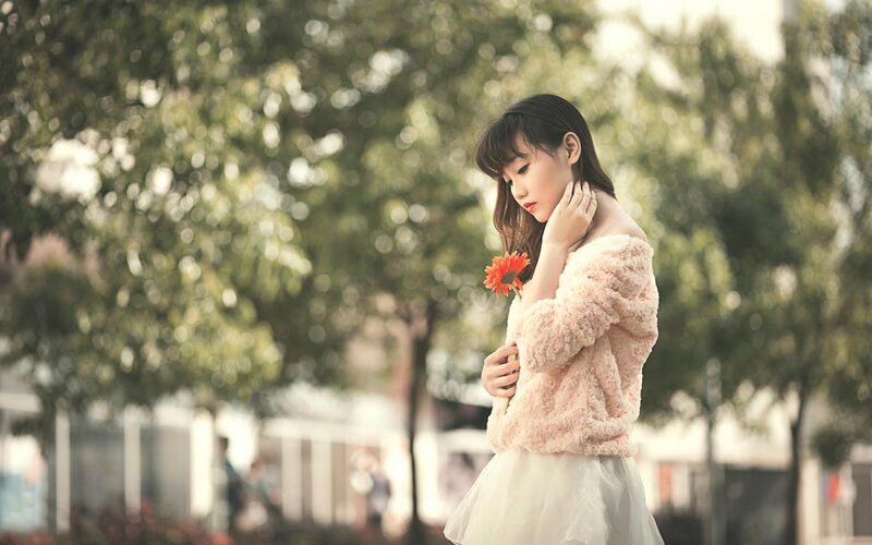 Woman Holding Flower — Pink, Serene, Afternoon, Photograph