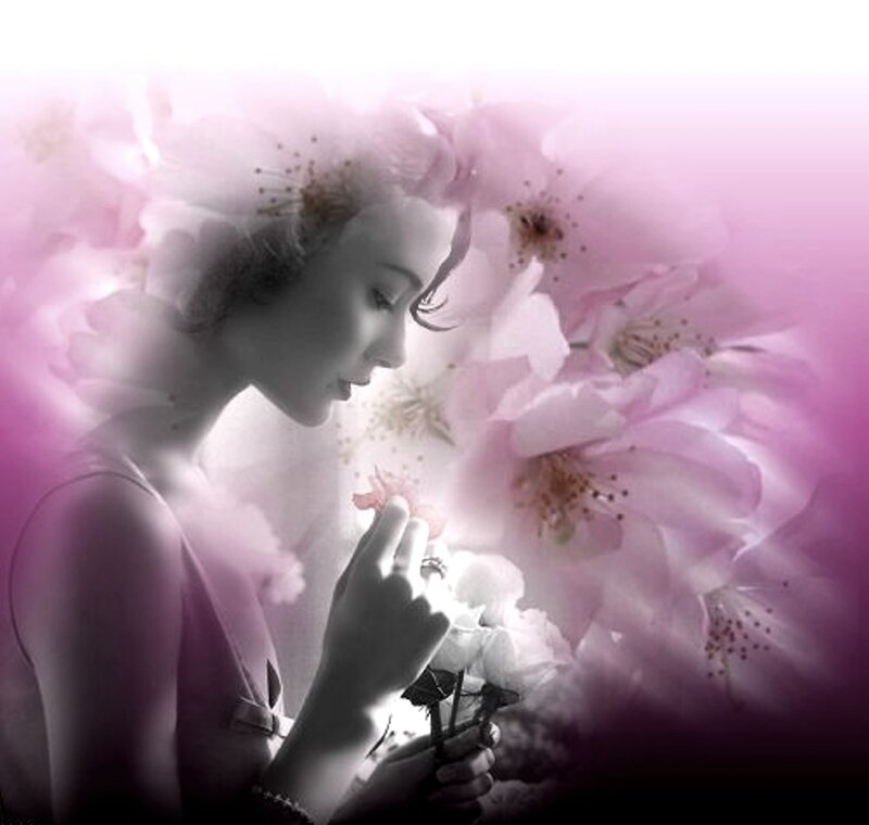 Woman Holding Flowers — Pink, Serene, Digital Art