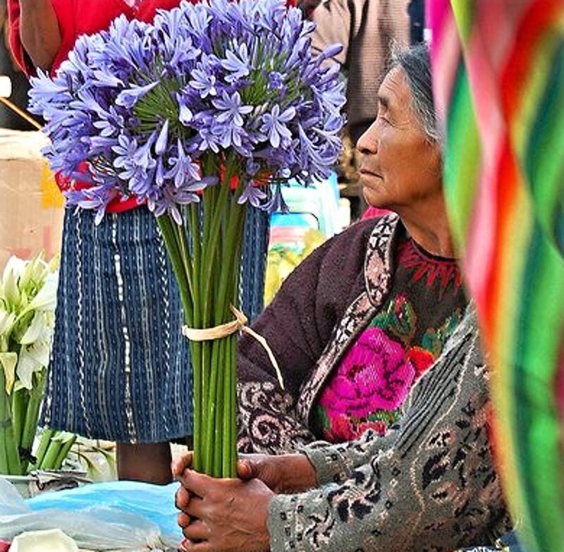 Woman Holding Flowers — Purple, Calm, Afternoon