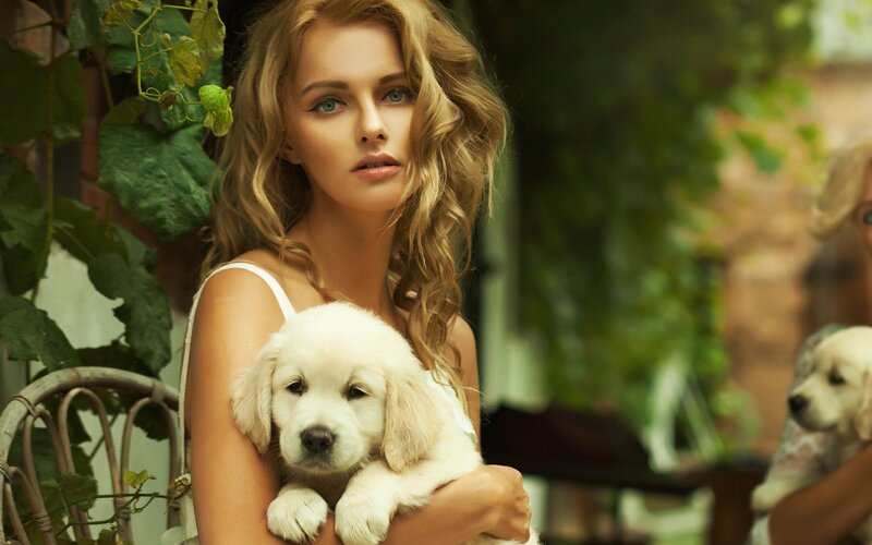 woman holding golden retriever puppy