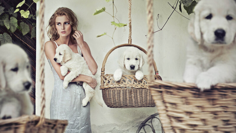 Woman Holding Golden Retriever Puppy — White, Serene