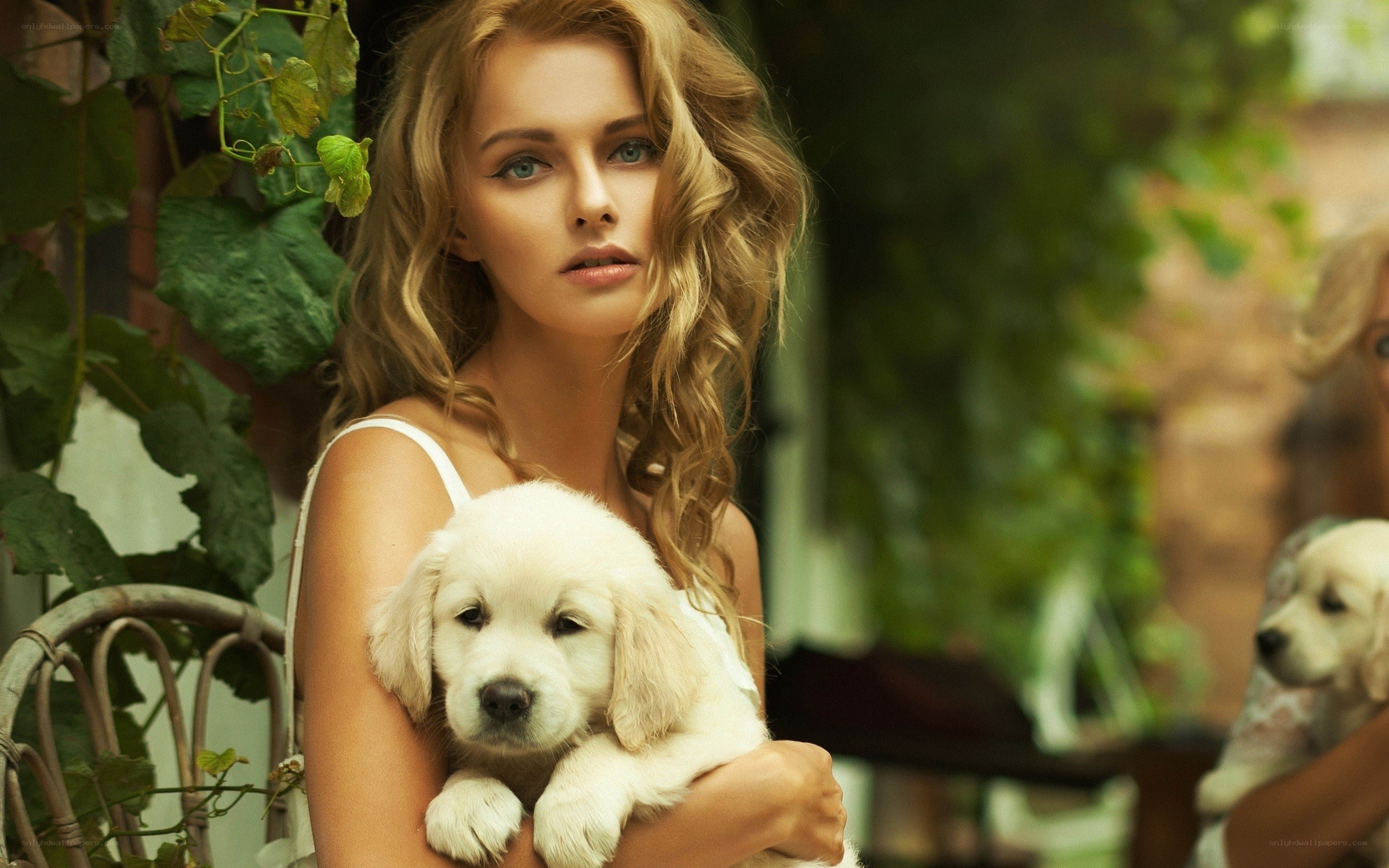 woman holding golden retriever puppy