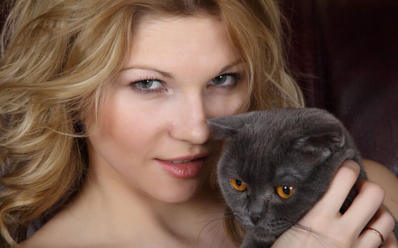 Woman Holding Gray Cat
