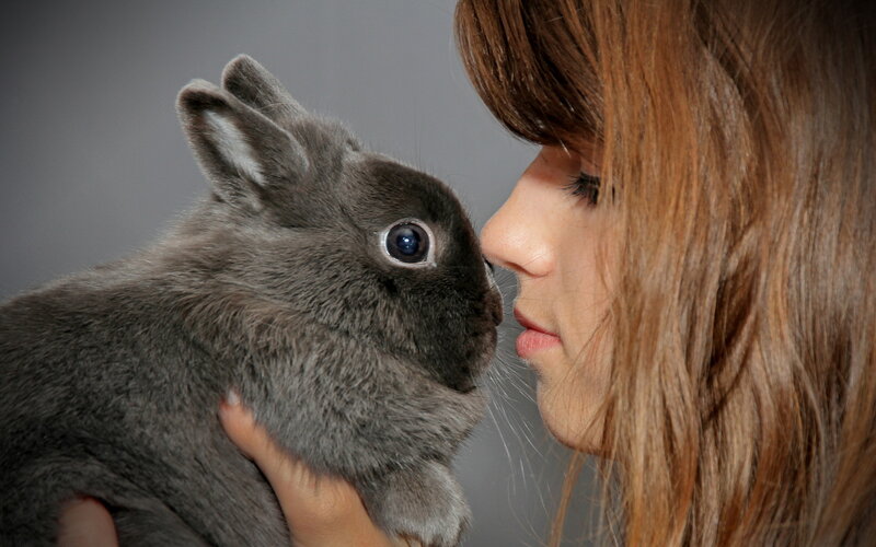 Woman Holding Gray Rabbit