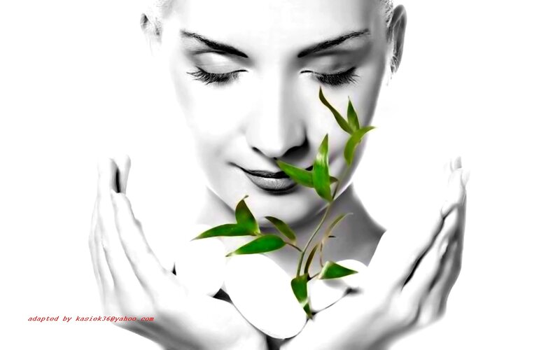 Woman Holding Green Plant