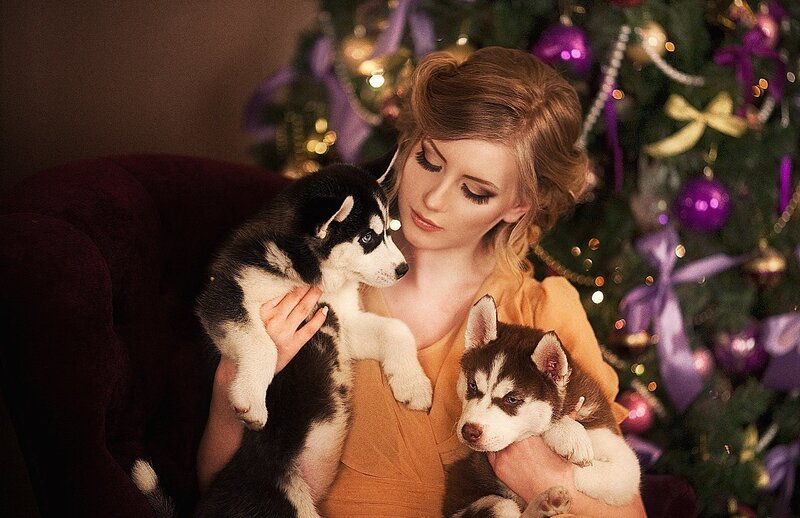 Woman Holding Husky Puppies