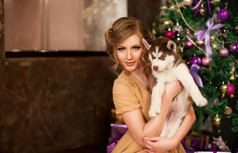 Woman Holding Husky Puppy — Brown