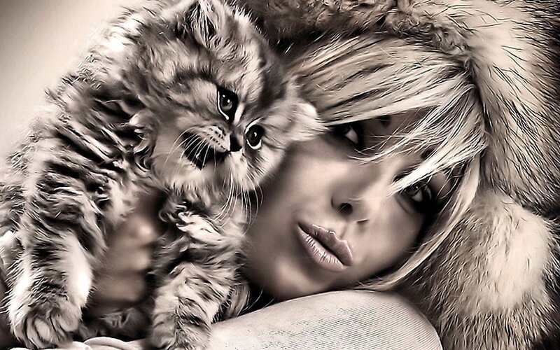Woman Holding Kitten — Black, Dramatic, Photograph